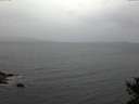 ./images/koeye/fitz-hugh/20141016/fitz-hugh20141016_080002.jpg