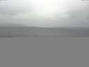 ./images/koeye/fitz-hugh/20141016/fitz-hugh20141016_082502.jpg