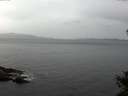 ./images/koeye/fitz-hugh/20141016/fitz-hugh20141016_113502.jpg
