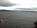 ./images/koeye/fitz-hugh/20141017/fitz-hugh20141017_075003.jpg