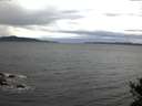 ./images/koeye/fitz-hugh/20141017/fitz-hugh20141017_075502.jpg