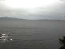 ./images/koeye/fitz-hugh/20141017/fitz-hugh20141017_085501.jpg