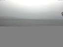 ./images/koeye/fitz-hugh/20141017/fitz-hugh20141017_090502.jpg