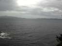 ./images/koeye/fitz-hugh/20141017/fitz-hugh20141017_104501.jpg