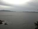 ./images/koeye/fitz-hugh/20141017/fitz-hugh20141017_123501.jpg