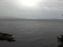 ./images/koeye/fitz-hugh/20141017/fitz-hugh20141017_145002.jpg
