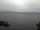 ./images/koeye/fitz-hugh/20141017/fitz-hugh20141017_145501.jpg