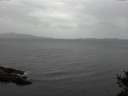 ./images/koeye/fitz-hugh/20141017/fitz-hugh20141017_151001.jpg