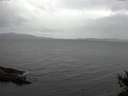 ./images/koeye/fitz-hugh/20141017/fitz-hugh20141017_160002.jpg