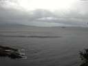 ./images/koeye/fitz-hugh/20141017/fitz-hugh20141017_164502.jpg