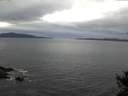 ./images/koeye/fitz-hugh/20141018/fitz-hugh20141018_080503.jpg