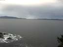 ./images/koeye/fitz-hugh/20141018/fitz-hugh20141018_082001.jpg