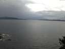 ./images/koeye/fitz-hugh/20141018/fitz-hugh20141018_092003.jpg