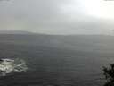 ./images/koeye/fitz-hugh/20141018/fitz-hugh20141018_095003.jpg