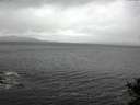./images/koeye/fitz-hugh/20141018/fitz-hugh20141018_105501.jpg