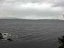 ./images/koeye/fitz-hugh/20141018/fitz-hugh20141018_124003.jpg