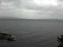 ./images/koeye/fitz-hugh/20141018/fitz-hugh20141018_140002.jpg