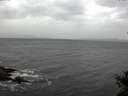 ./images/koeye/fitz-hugh/20141018/fitz-hugh20141018_141002.jpg