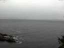 ./images/koeye/fitz-hugh/20141018/fitz-hugh20141018_145002.jpg