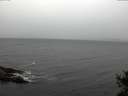./images/koeye/fitz-hugh/20141018/fitz-hugh20141018_145503.jpg
