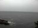 ./images/koeye/fitz-hugh/20141018/fitz-hugh20141018_155502.jpg