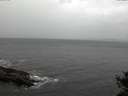 ./images/koeye/fitz-hugh/20141018/fitz-hugh20141018_160502.jpg