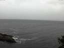 ./images/koeye/fitz-hugh/20141018/fitz-hugh20141018_161002.jpg