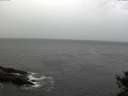 ./images/koeye/fitz-hugh/20141018/fitz-hugh20141018_165503.jpg