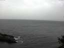 ./images/koeye/fitz-hugh/20141018/fitz-hugh20141018_172502.jpg