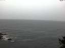 ./images/koeye/fitz-hugh/20141019/fitz-hugh20141019_080503.jpg