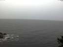 ./images/koeye/fitz-hugh/20141019/fitz-hugh20141019_082503.jpg