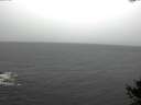 ./images/koeye/fitz-hugh/20141019/fitz-hugh20141019_095002.jpg