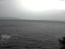 ./images/koeye/fitz-hugh/20141019/fitz-hugh20141019_101003.jpg