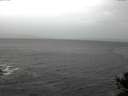 ./images/koeye/fitz-hugh/20141019/fitz-hugh20141019_104002.jpg