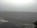 ./images/koeye/fitz-hugh/20141019/fitz-hugh20141019_110503.jpg