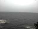 ./images/koeye/fitz-hugh/20141019/fitz-hugh20141019_113502.jpg