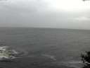 ./images/koeye/fitz-hugh/20141019/fitz-hugh20141019_115501.jpg