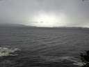 ./images/koeye/fitz-hugh/20141019/fitz-hugh20141019_120502.jpg