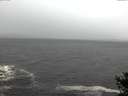 ./images/koeye/fitz-hugh/20141019/fitz-hugh20141019_121001.jpg