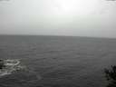 ./images/koeye/fitz-hugh/20141019/fitz-hugh20141019_123503.jpg