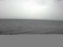 ./images/koeye/fitz-hugh/20141019/fitz-hugh20141019_124003.jpg