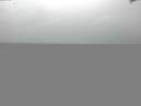 ./images/koeye/fitz-hugh/20141019/fitz-hugh20141019_132002.jpg