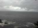./images/koeye/fitz-hugh/20141019/fitz-hugh20141019_134001.jpg