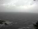 ./images/koeye/fitz-hugh/20141019/fitz-hugh20141019_140502.jpg