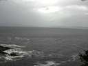 ./images/koeye/fitz-hugh/20141019/fitz-hugh20141019_142002.jpg