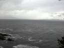 ./images/koeye/fitz-hugh/20141019/fitz-hugh20141019_142501.jpg