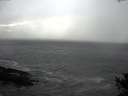 ./images/koeye/fitz-hugh/20141019/fitz-hugh20141019_155002.jpg