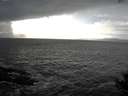 ./images/koeye/fitz-hugh/20141019/fitz-hugh20141019_160502.jpg