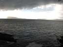 ./images/koeye/fitz-hugh/20141019/fitz-hugh20141019_161001.jpg
