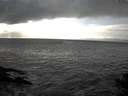 ./images/koeye/fitz-hugh/20141019/fitz-hugh20141019_161501.jpg